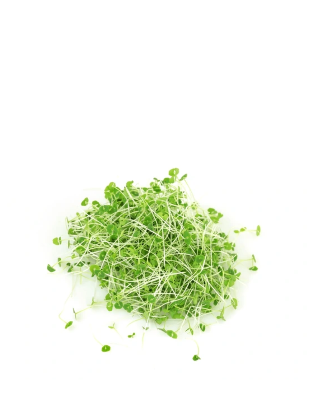 Chia Microgreens, Black, Heirloom, Non-GMO, 28g