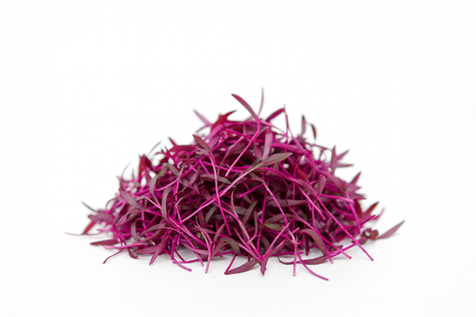 Purple microgreens on a white background
