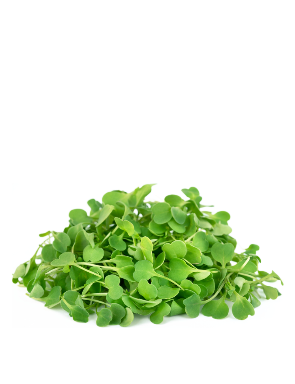 Arugula Microgreens, Astro, Heirloom, Non-GMO, 28g
