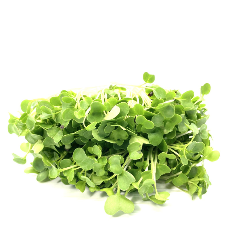 Turnip Microgreens, Purple Top, Heirloom, Non-GMO, 45g