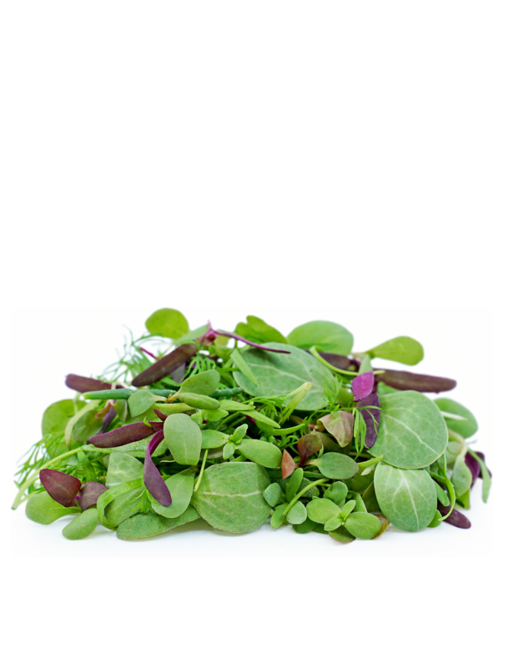 Nutritional Microgreens Mix, Heirloom and Non-GMO, 60g