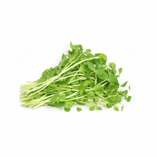 Pea Microgreens