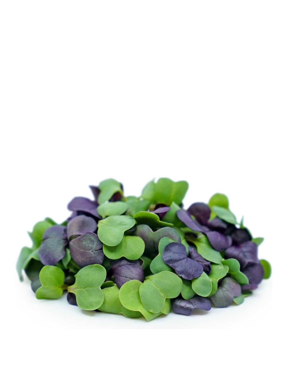 Radish Mix Microgreens, Organic, 60g