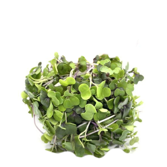 Brussel Sprouts Microgreens, Long Island Improved, Heirloom, Non-GMO, 45g