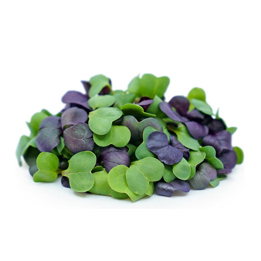 Radish Mix Microgreens, Organic, 60g