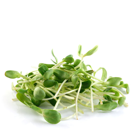 Sunflower Microgreens, Black Oil, Non-GMO, 60g