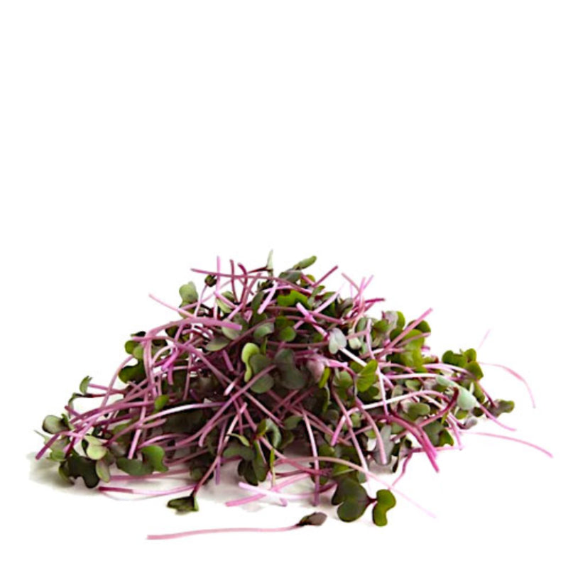 Cabbage Microgreens, Red Acre, Non-GMO, 45g