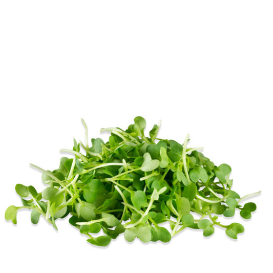 Mustard Microgreens, Wasabi, Heirloom, Non-GMO, 30g